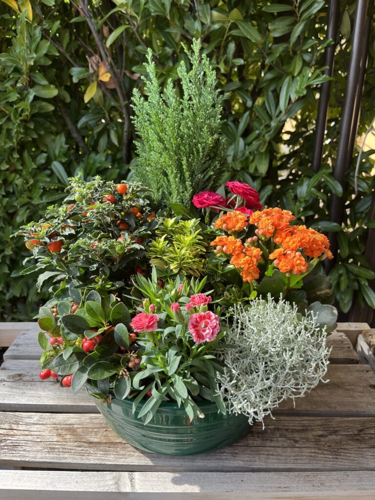 Composition florale extérieure pour la Toussaint chez Végétalis à Roanne