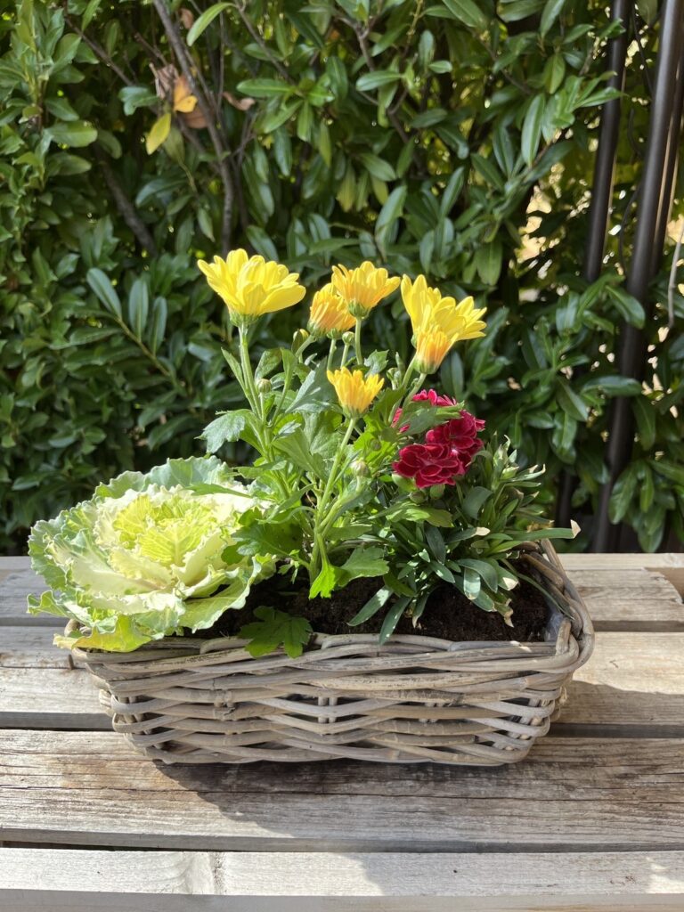 Composition florale extérieure pour la Toussaint chez Végétalis à Roanne