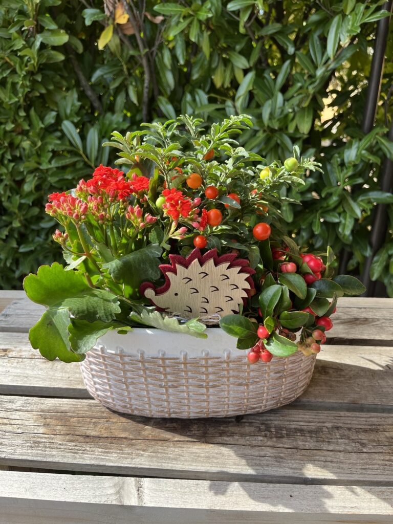 Composition florale extérieure pour la Toussaint chez Végétalis à Roanne